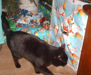 You love Christmas time