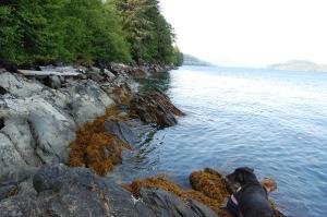 beachocean 009 beachocean 009