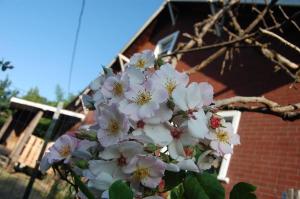 CanadaOregonNevada 323 CanadaOregonNevada 323