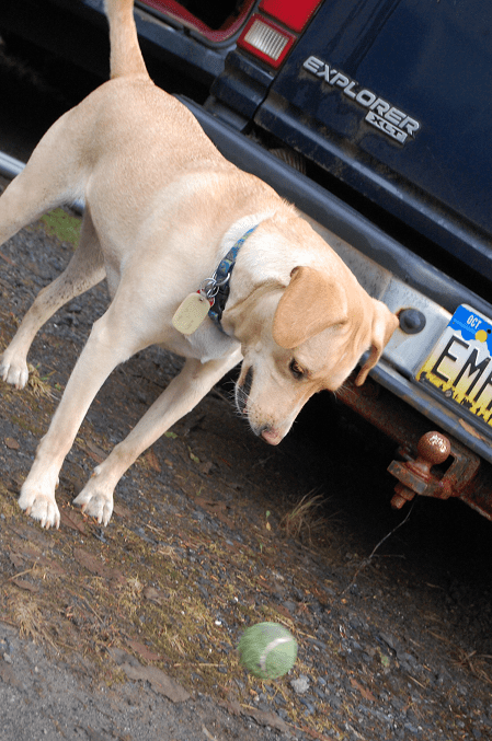 How many times have I "Dropped the ball" 