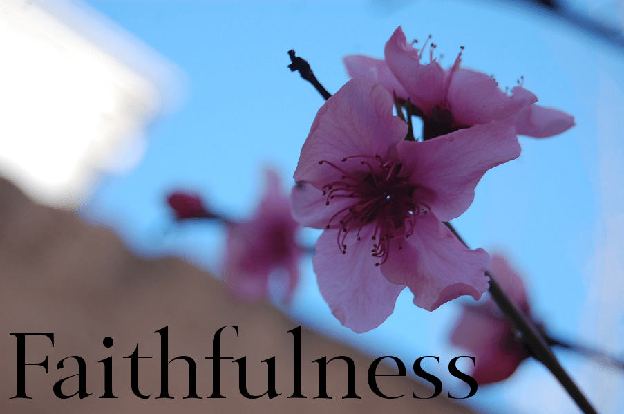 faithfulness
