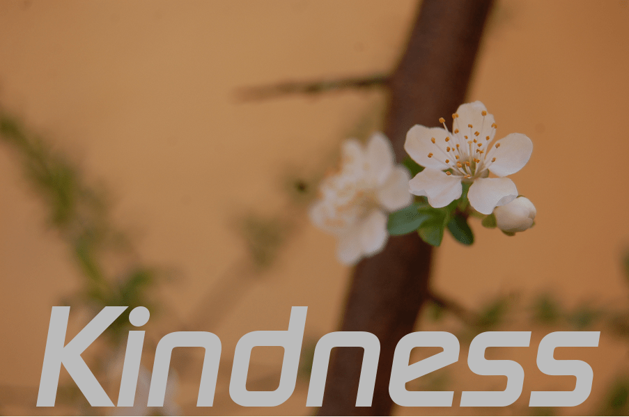 kindness