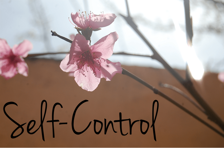 selfcontrol