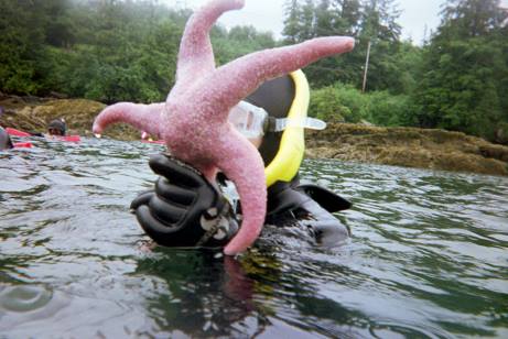 13659075_1161818143839921_497983859409877673_n