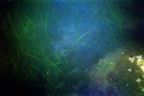 13707550_1161818473839888_7633386098349900711_n